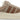 Adidas Campus Bad Bunny Chalky Brown