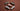 Flat lay of five adidas Samba sneakers in neutral colorways arranged on a warm brown background, featuring grey, black, white, pink, and brown styles.
