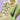 Nike Pegasus Premium Alabaster Volt running shoe close-up mesh upper and swoosh detail